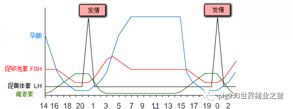 激素管理 (III)-使用外源孕酮控制母猪发情时间