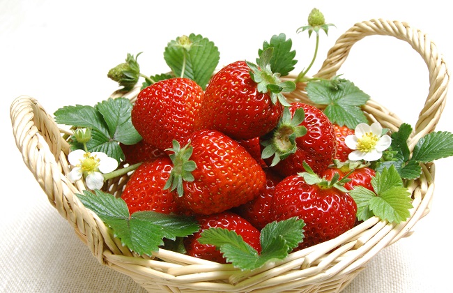 草莓怎么快速催熟