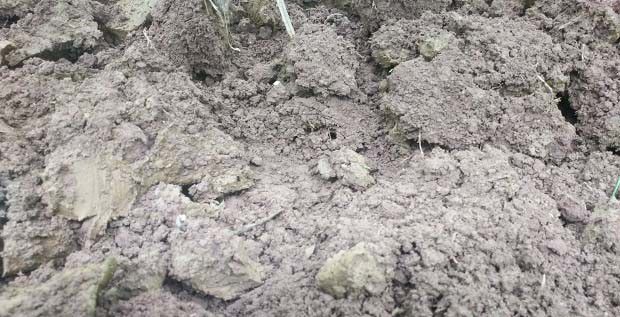 什么是土壤质地？