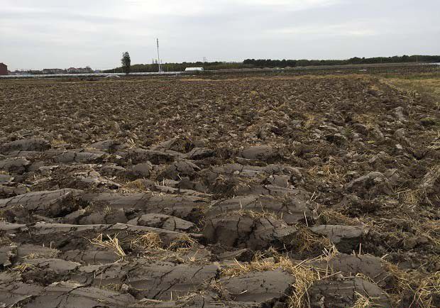 如何在田间做土壤的湿化稳定性检测？