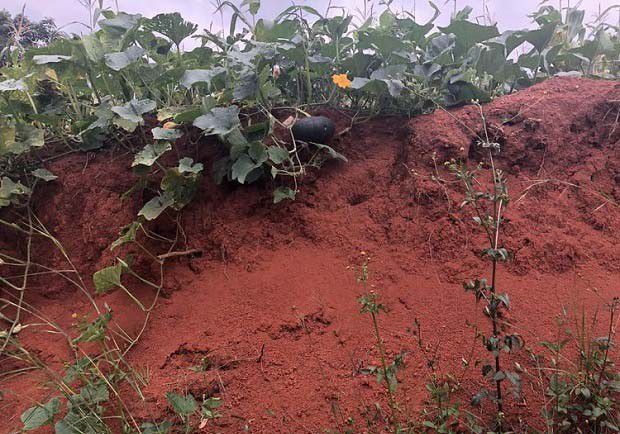 如何在田间快速判断土壤的孔隙状况？