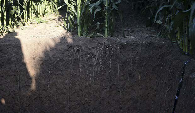 什么是土壤孔隙？