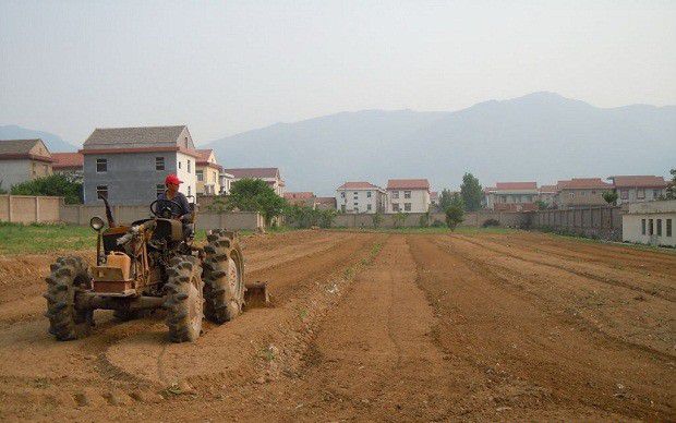 种植薄荷前如何整地？